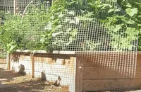 hardware cloth rabbit proof