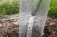 vegetable garden
