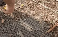 hardware cloth vole control