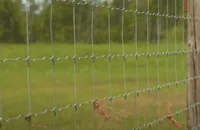hardware cloth deer fence