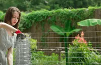 hardware cloth gardening
